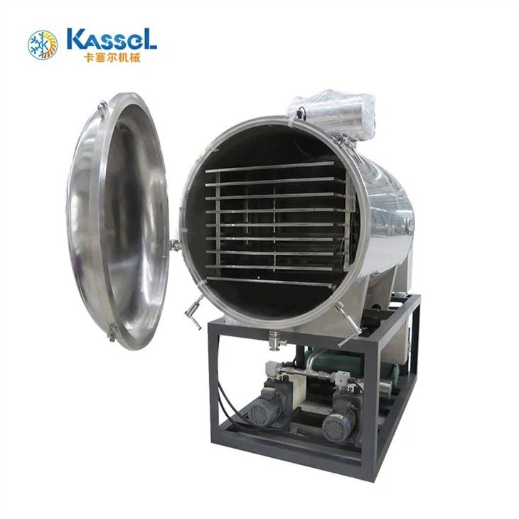 China Food Lyophilizer factory