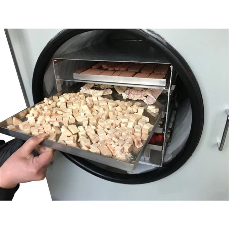 home food freeze dryer
